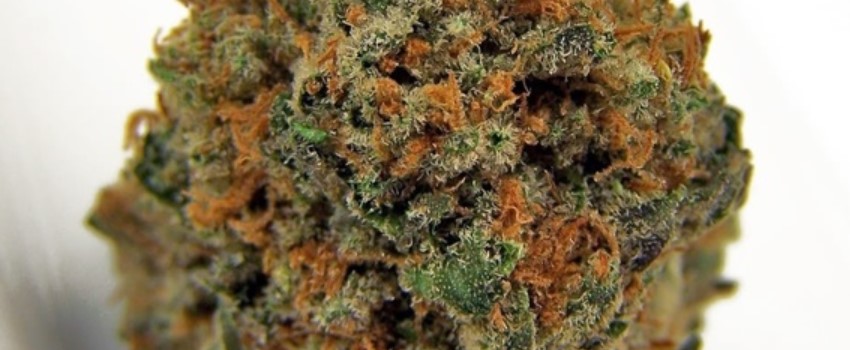 Sour Alien Effects
