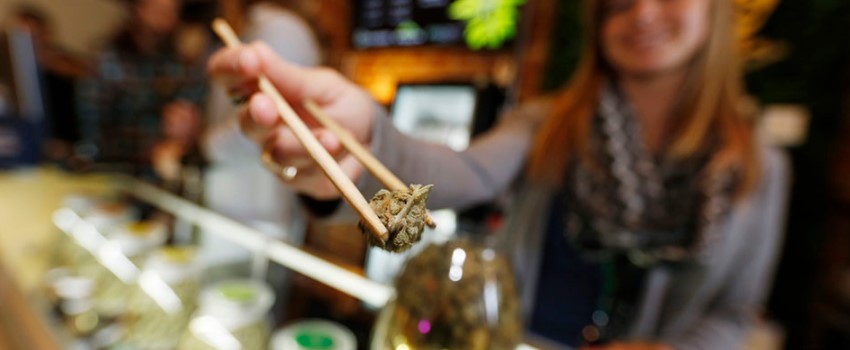 Cannabis Club in the City