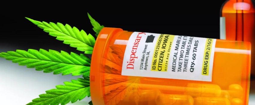 Cannabis License requirements