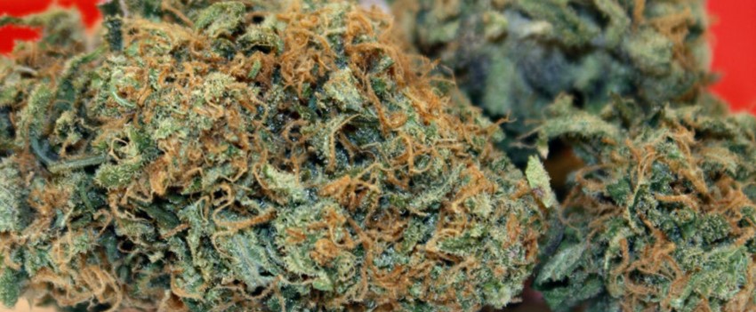 Chocolate Thai Medical