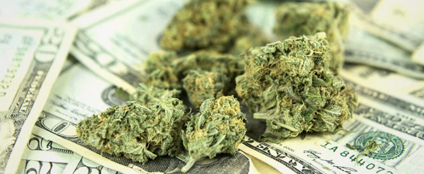 How much money is there in the marijuana market