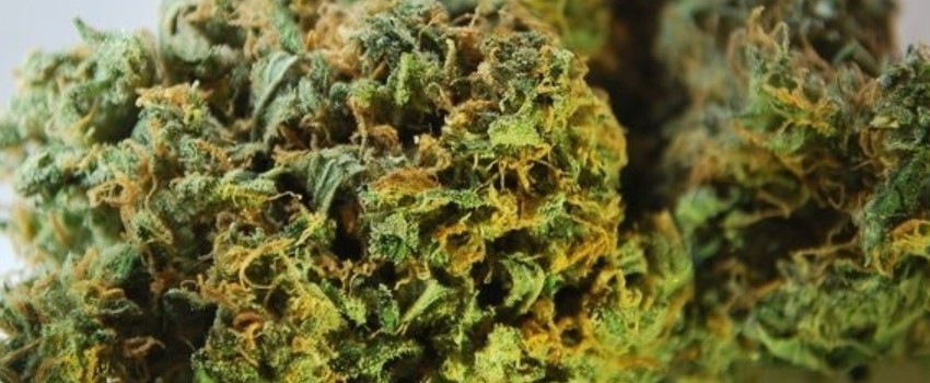 Lemon Fire Medical
