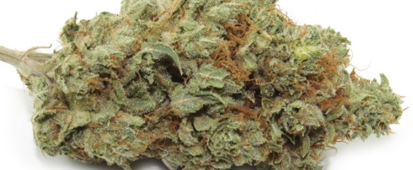 Medical 49 Effects