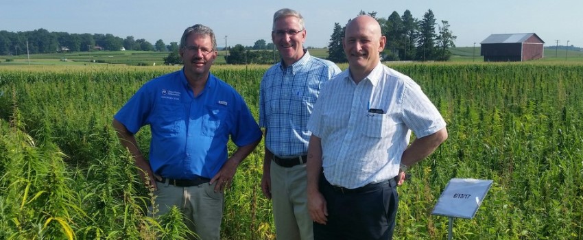 Penn Submit Application to Cultivate Commercial Hemp