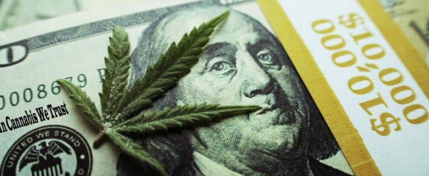 Profits of the North Dakota cannabis industry
