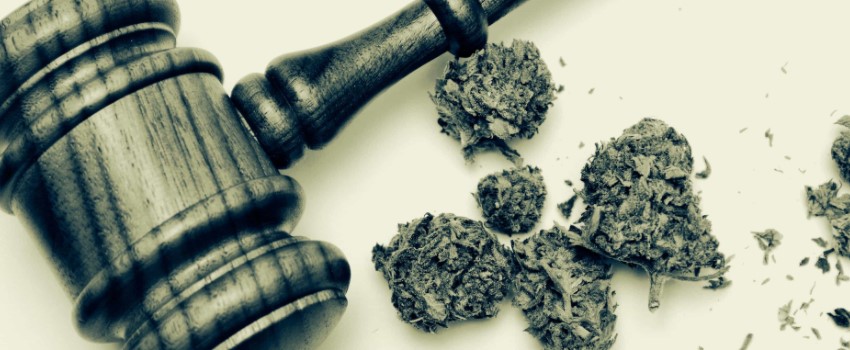 When was cannabis made legal