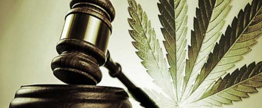 When was cannabis made legal