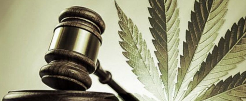 When was cannabis made legal