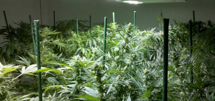 benefits of going hydro 2