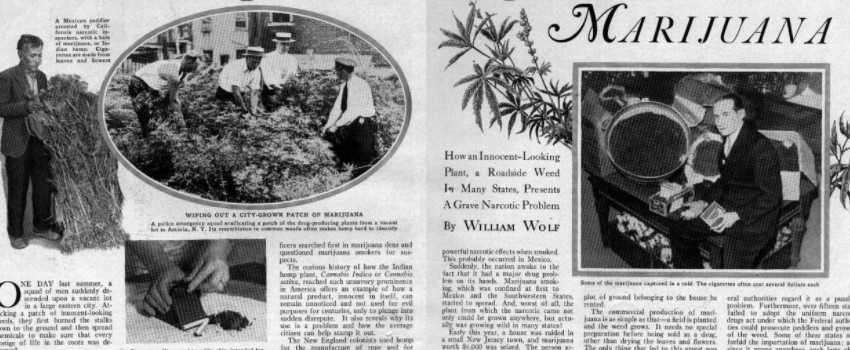 1900s to 1960 - The Cannabis Drug