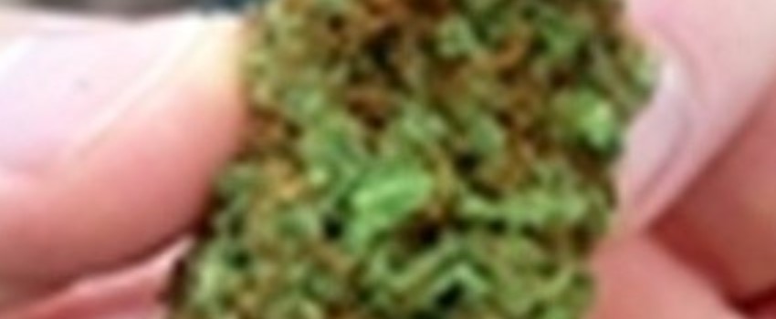 Dream Police Adverse Reaction