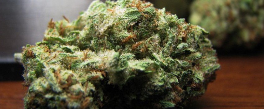 Emerald OG Adverse Reaction