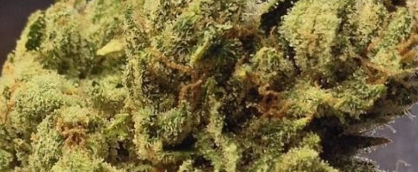 Emerald OG Effects