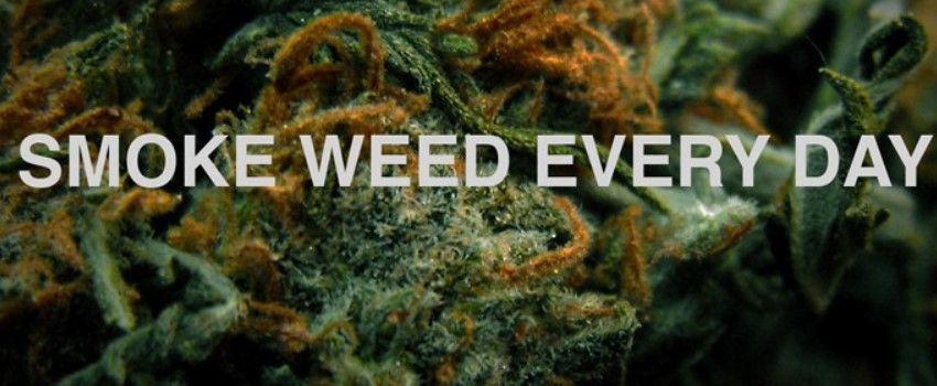 Marijuana Today