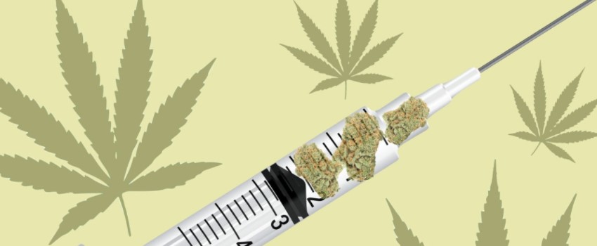Marijuana for Medicine Temporarily Rebounds