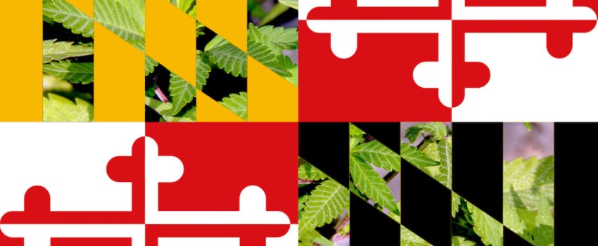Maryland Marijuana