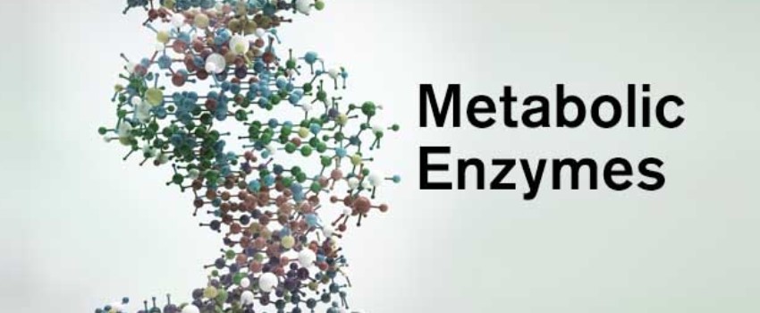 Metabolic Enzymes