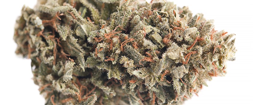 Pineapple Skunk Medical