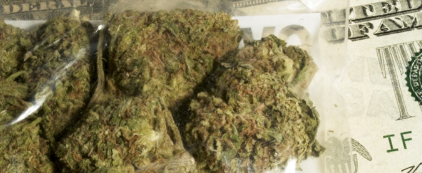 Profits of the cannabis industry in Vermont