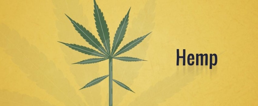 Why Is Hemp Important