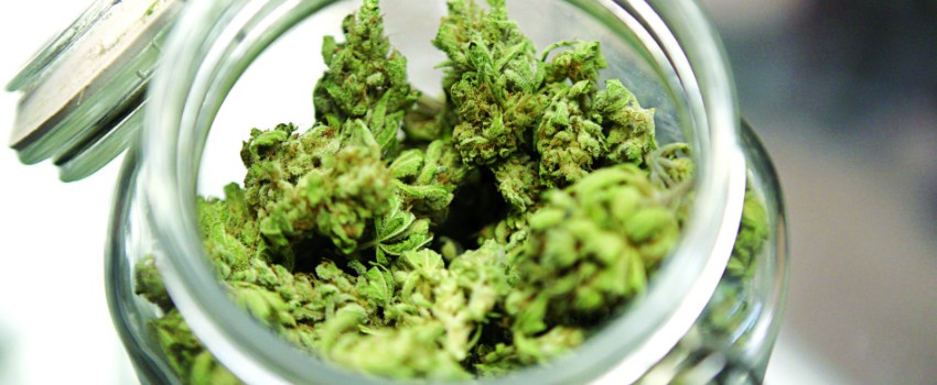 You get the full benefits of Cannabis