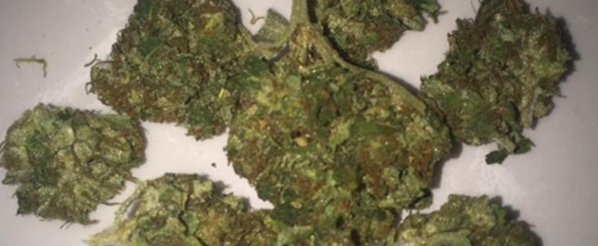 Chong Star Adverse Reaction