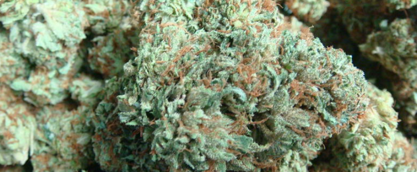 Colorado Bubba Effects