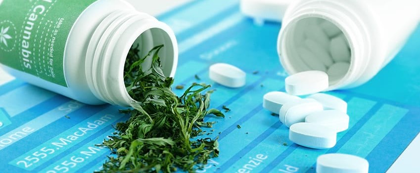 Combining Opioids and Marijuana