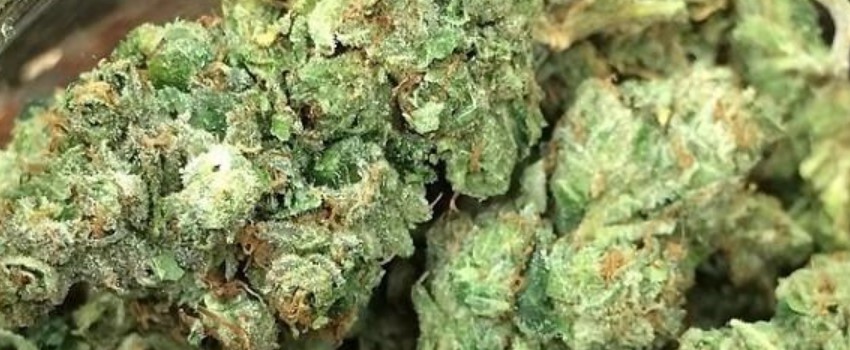 LA Kush Adverse Reaction