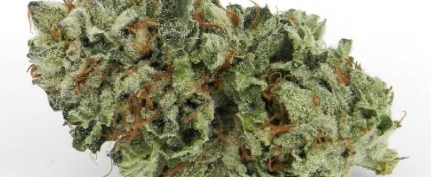 LA Kush Effects