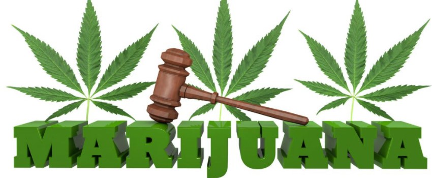 Legalization of Cannabis