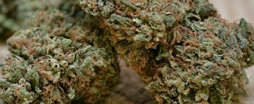 Lost Coast OG Effects