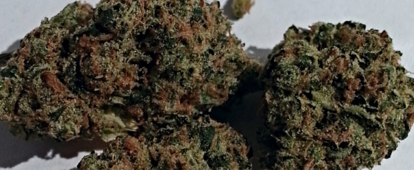 Sour Candy Medical