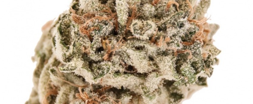 Starfighter Medical