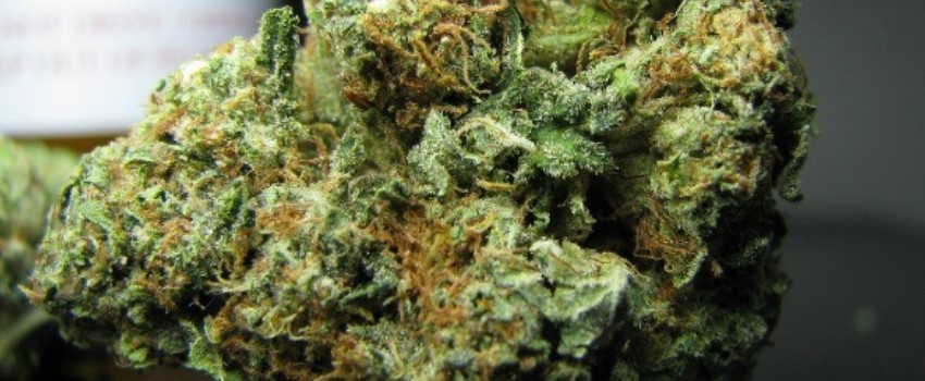 Supermax OG Adverse Reaction