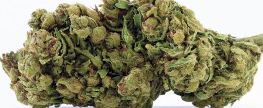 Avi Medical
