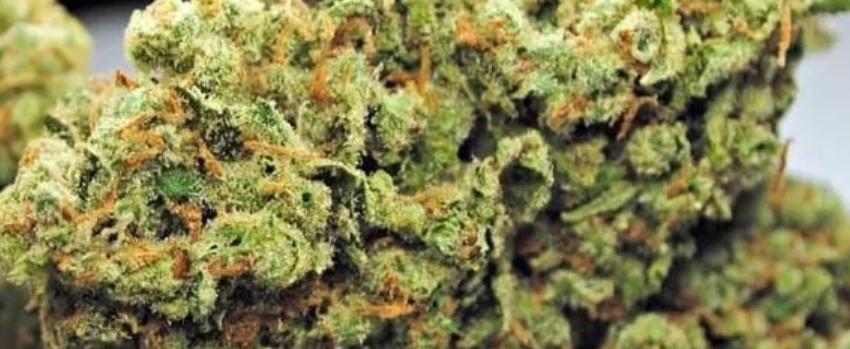 Brand X Medical