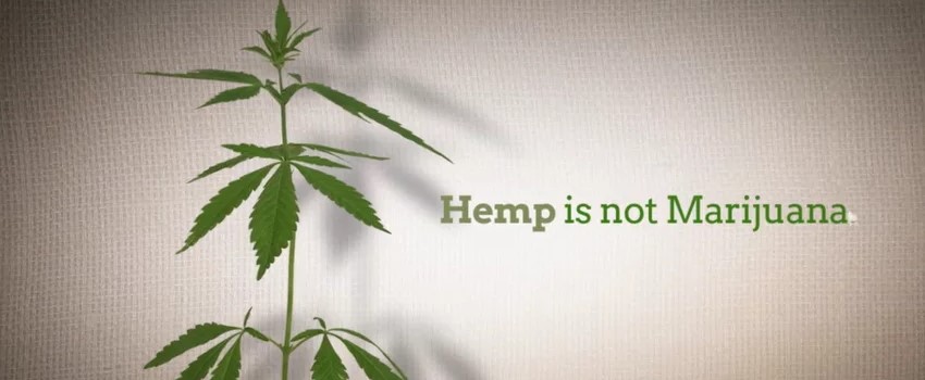Hemp is not Marijuana