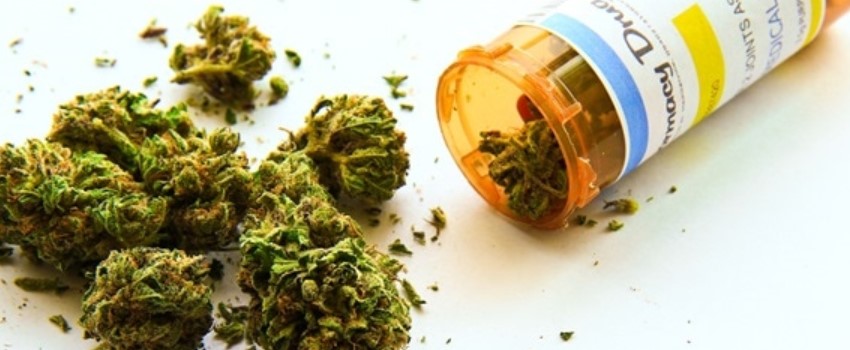 MMJ can Help With Pain Management