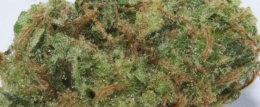 Pineapple Jack Effects
