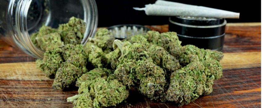A Rapid Expansion of MMJ Operations is Needed