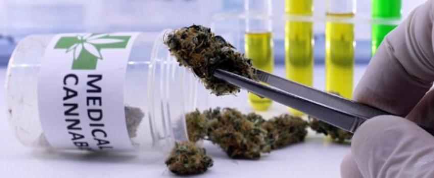 Australia Medical Marijuana