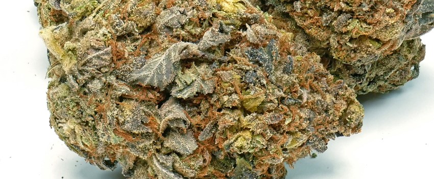 Death Bubba Adverse Reaction