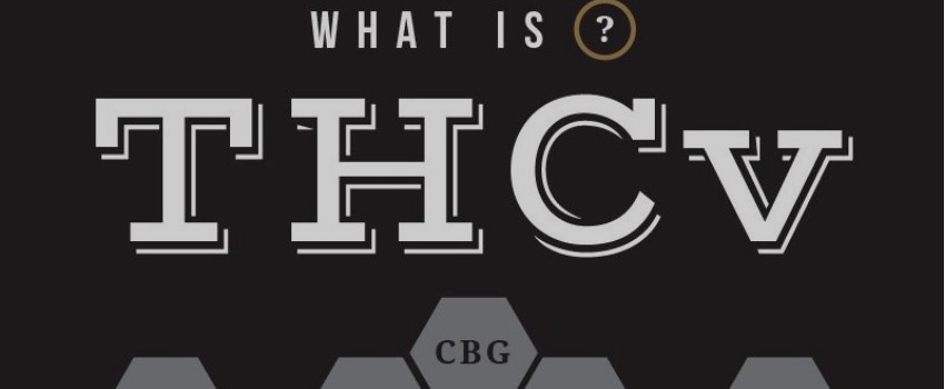How THCV (Tetrahydrocannabivarin) Works