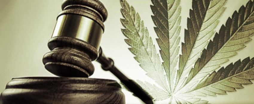 St. Louis, Missouri Marijuana Policy