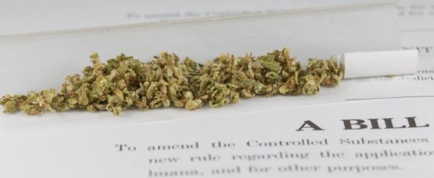 Rejects the Bill For Medical Cannabis