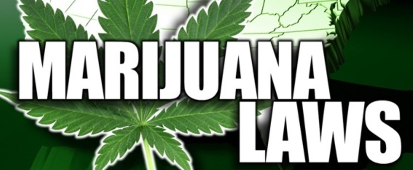St. Louis Marijuana Policy is Constantly Evolving