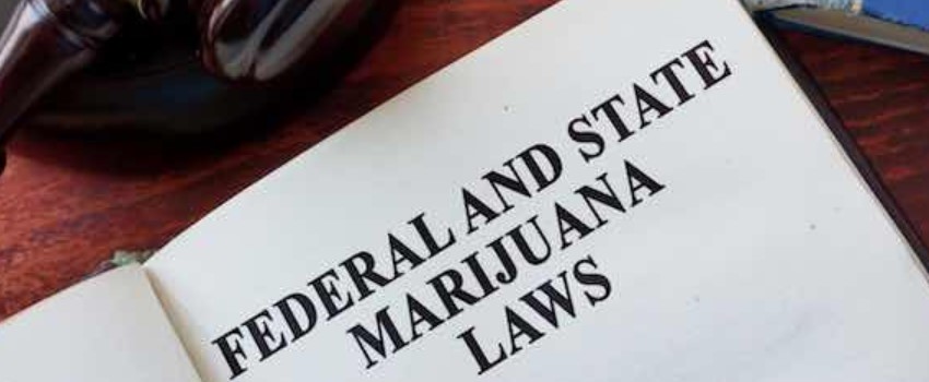 The Court Declares MMJ Compensation a Federal Crime