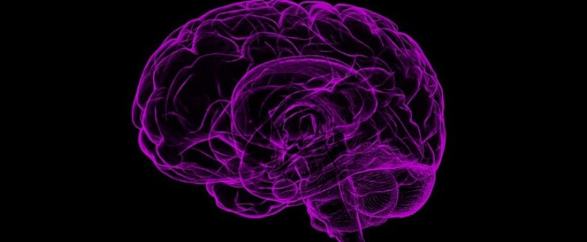 The Healing Benefits of Cannabidivarin (CBDV)