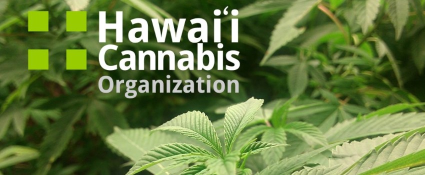 Hawaii approved the bill SB 2407